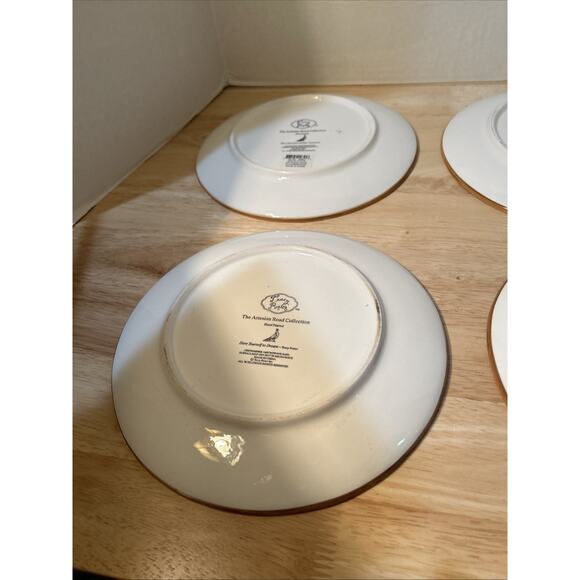 Set (4) Tracy Porter 9” Salad Plate Artesian Road Collection Hand Painted Orange - Picture 9 of 12